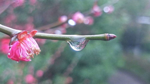 雨韵(池州雨韵江南名都楼盘地址在哪里？)