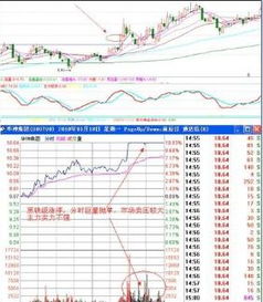 短线股票高手怎样追涨