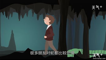 做梦梦到很多蛇是什么意思