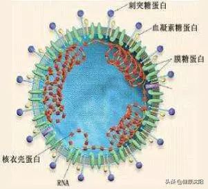 健康科普堂 新型冠状病毒肺炎预防篇 一