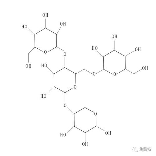 生酮期间也有可以吃的碳水吗