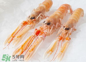螯虾是不是小龙虾 螯虾的营养价值