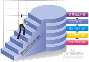 资本运营的运营内涵