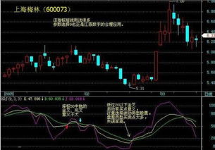 如何运用KDJ指标短线实战技巧