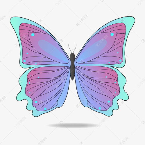 矢量蝴蝶翅膀唯美紫色素材图片免费下载 千库网 