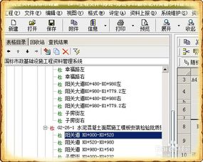 筑业资料软件中怎么更改资料表格的名称 