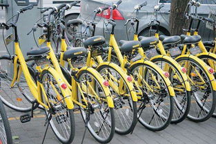 北京共享单车总量回落两成 仍有半数闲置