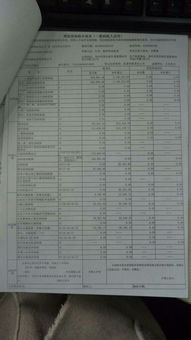 为何我报的增值税在在减免税额中有金额而应补退税额为0呢