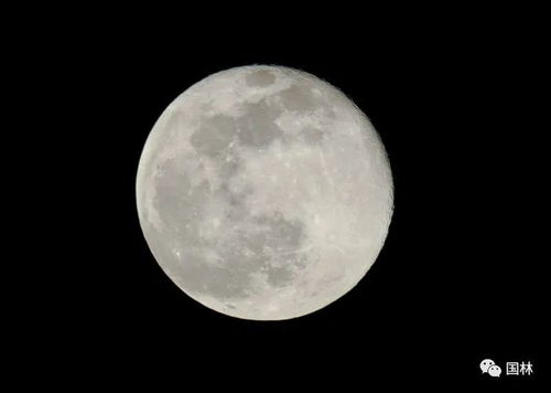 精彩不容错过 一位滦平市民把超级月亮拍得又大又好看