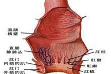 痔疮发痒，怎么办(痔疮瘙痒咋办)
