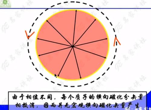 核磁共振基本原理,核磁共振技术的原理(图1)