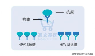 为什么打完HPV疫苗要做抗体检测