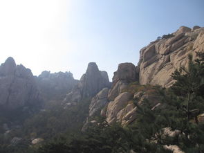 青岛崂山仰口风景区一日游