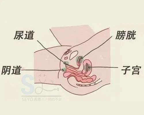女婴尿道口发炎图片图片