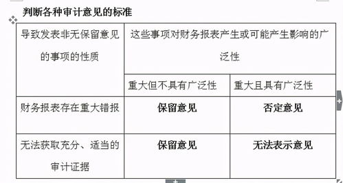 审计意见都有哪些 分别代表着什么意思