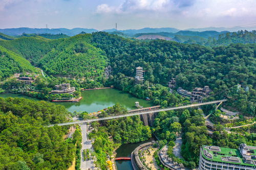 南宁有什么好玩的 广西首府,一个可以 一日游十国 的旅游胜地