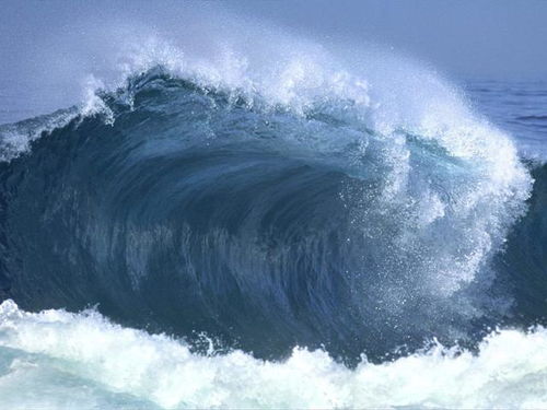 若高达50米的海啸来袭,是跑向陆地好,还是迎面扎进水里好