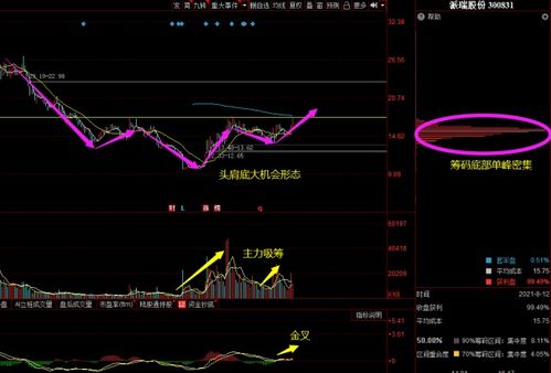 新能源十大龙头股票(山东新能源行业公司排行榜)