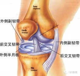 孩子今年中考，可她半月板受伤了，不能参加中考体育加试，怎么办(盘状半月板中考体育)