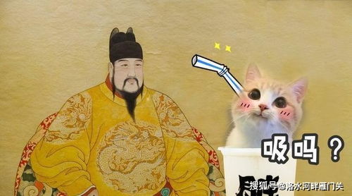 爱猫如命的皇帝,用黄金给猫打造棺材,请大学士为猫写祭文