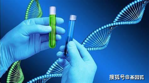 基因检测还是科学算命 聊聊基因测试对长期预测性健康分析监管的启示