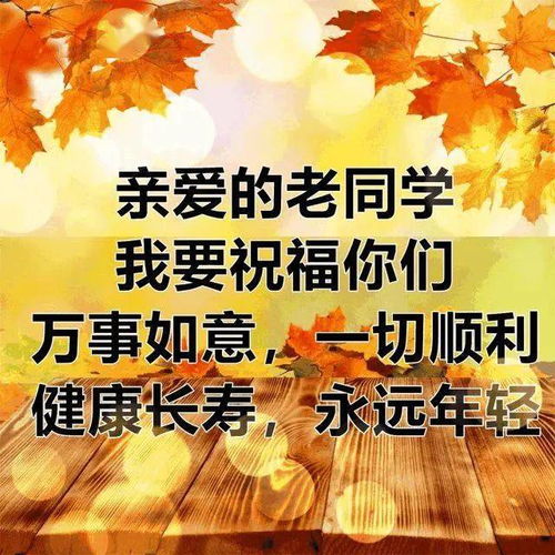 难忘同学情 早安 老同学 