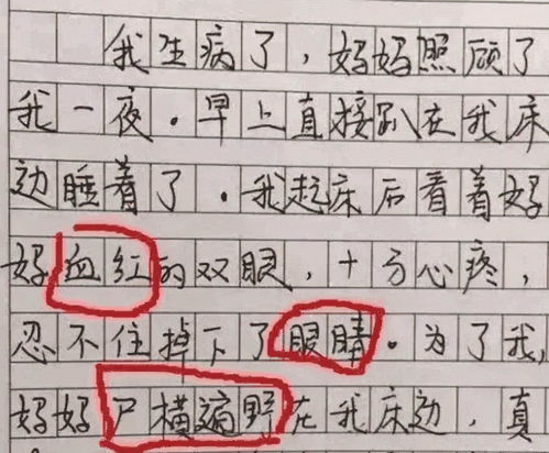 妈妈的眼睛一年级阅读题及答案