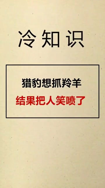 冷知识账号内容(冷知识精选)