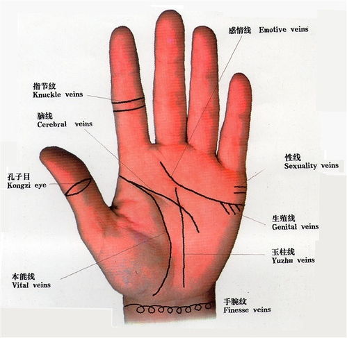 九大财富纹,看看你有没有可能新年发大财 