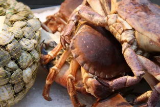 舌尖上的安徽︱十月蟹膏最肥美 请收好这张最全的安徽吃蟹地图