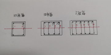 箍筋中的几只箍是什么意思