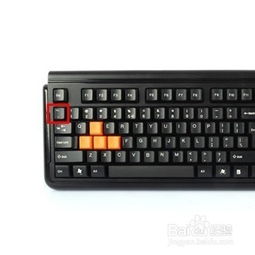 电脑键盘上这些按键的中文名称是什么 信息图文欣赏 信息村 K0w0m Com