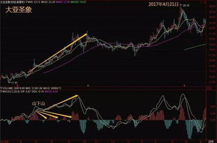 多数人只懂得金叉买死叉卖,这才是MACD高级用法,主力就怕你学会
