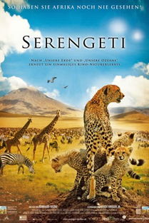 塞伦盖蒂 Serengeti 