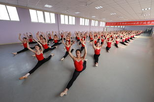 全国最好的舞蹈艺考培训机构