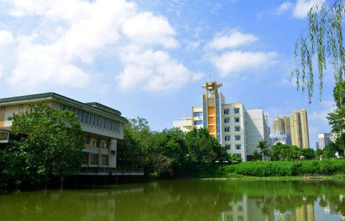 广西民族大学(2023年广西民族大学可以进入吗)