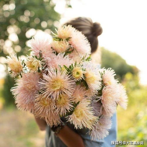 清晨的阳光唯美句子