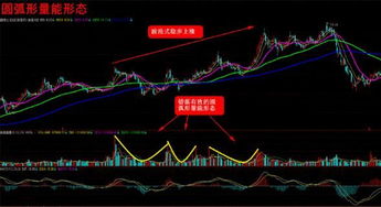 为什么连续涨停要挨罚，连续跌停就是应该的