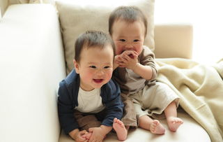 家有二宝,大宝和小宝 我家双胞胎宝贝八个月大萌照