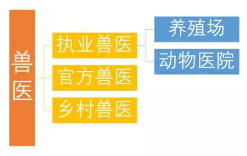 建议收藏：做外贸的你，知道外贸人常用的10个网站有哪些吗？|JN江南体育官方app下载(图2)