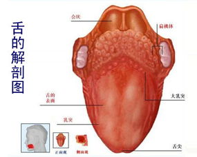 舌癌手术治疗的效果怎么样？