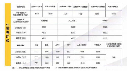 钦州市失业保险金领取,钦州生育保险交多久可以报销及报销比例