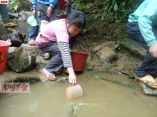 4月30日焦点图 玉林一村庄发生地陷