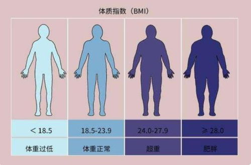 寿命和体重有什么关系 50岁后,体重越接近 这个数 ,越比较好