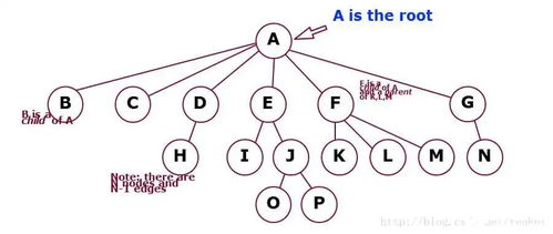 树的递归结构和树的存储结构分析 