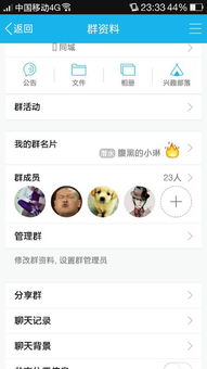 QQ群群主怎么修改群标签 