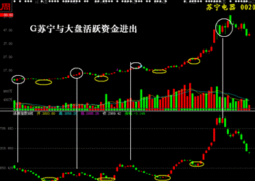 大盘的资金进出那里看的到？？