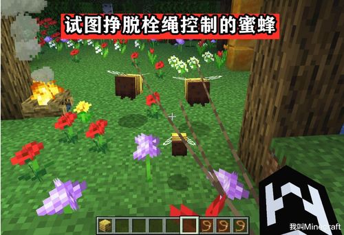 Minecraft蜜蜂养殖指南 关于蜜蜂,你可能不知道的13个冷知识