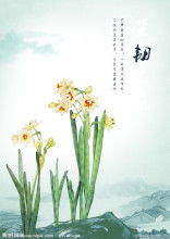 关于水仙花的诗歌和散文