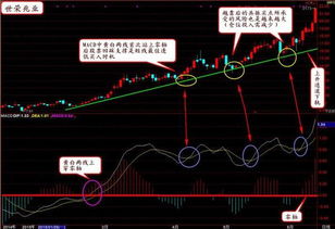 个股上涨的前兆是什么？